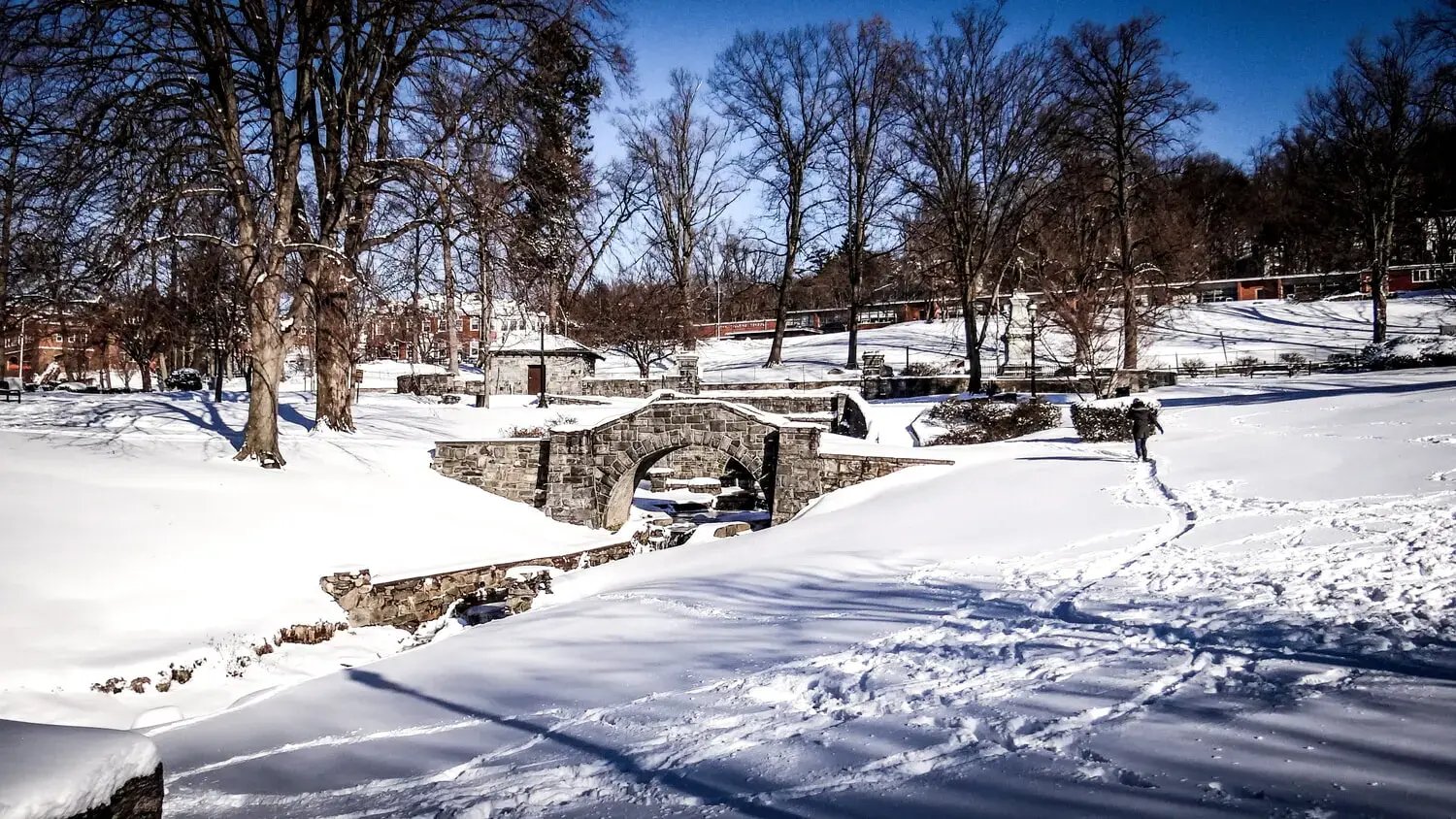 Park in Winter, in Tarrytown, Westchester NY - Image by Laila Stern