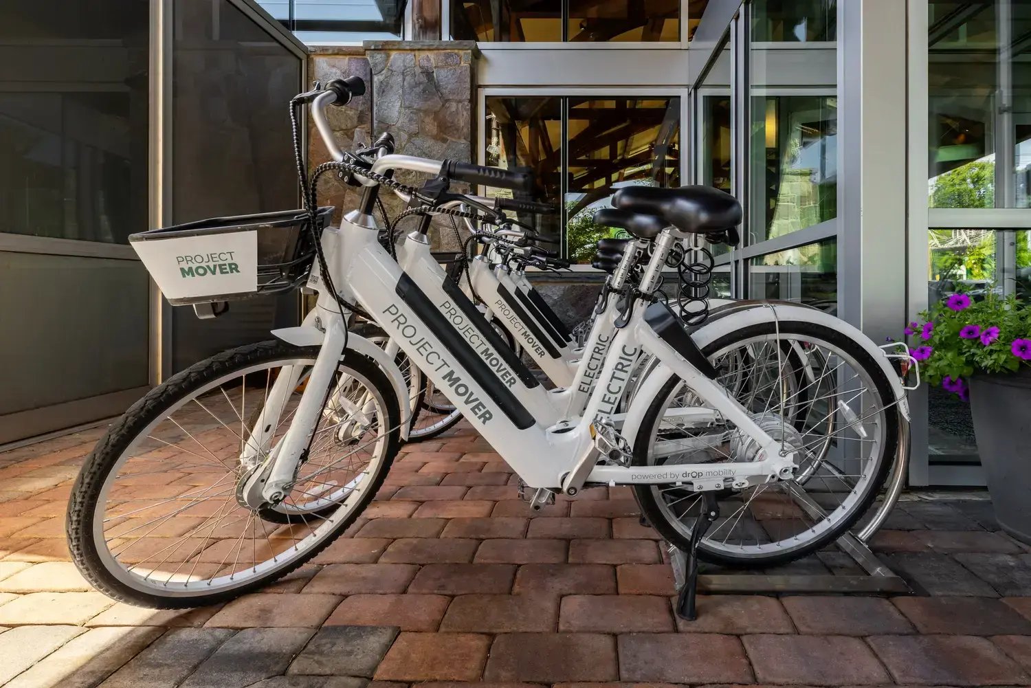 Bike Rentals