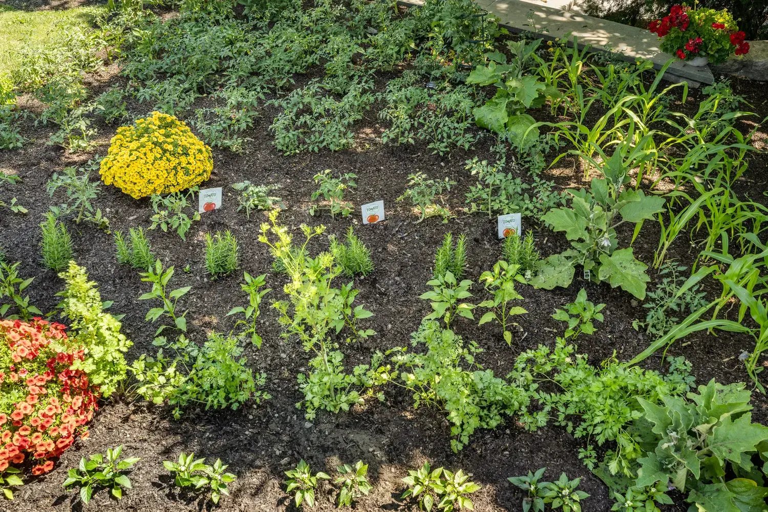 Garden
