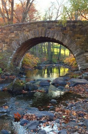Rockefeller State Park Preserve