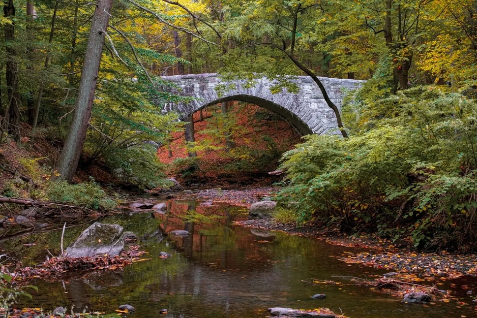 Rockefeller State Park Bridge - Image by Kyle Tunis