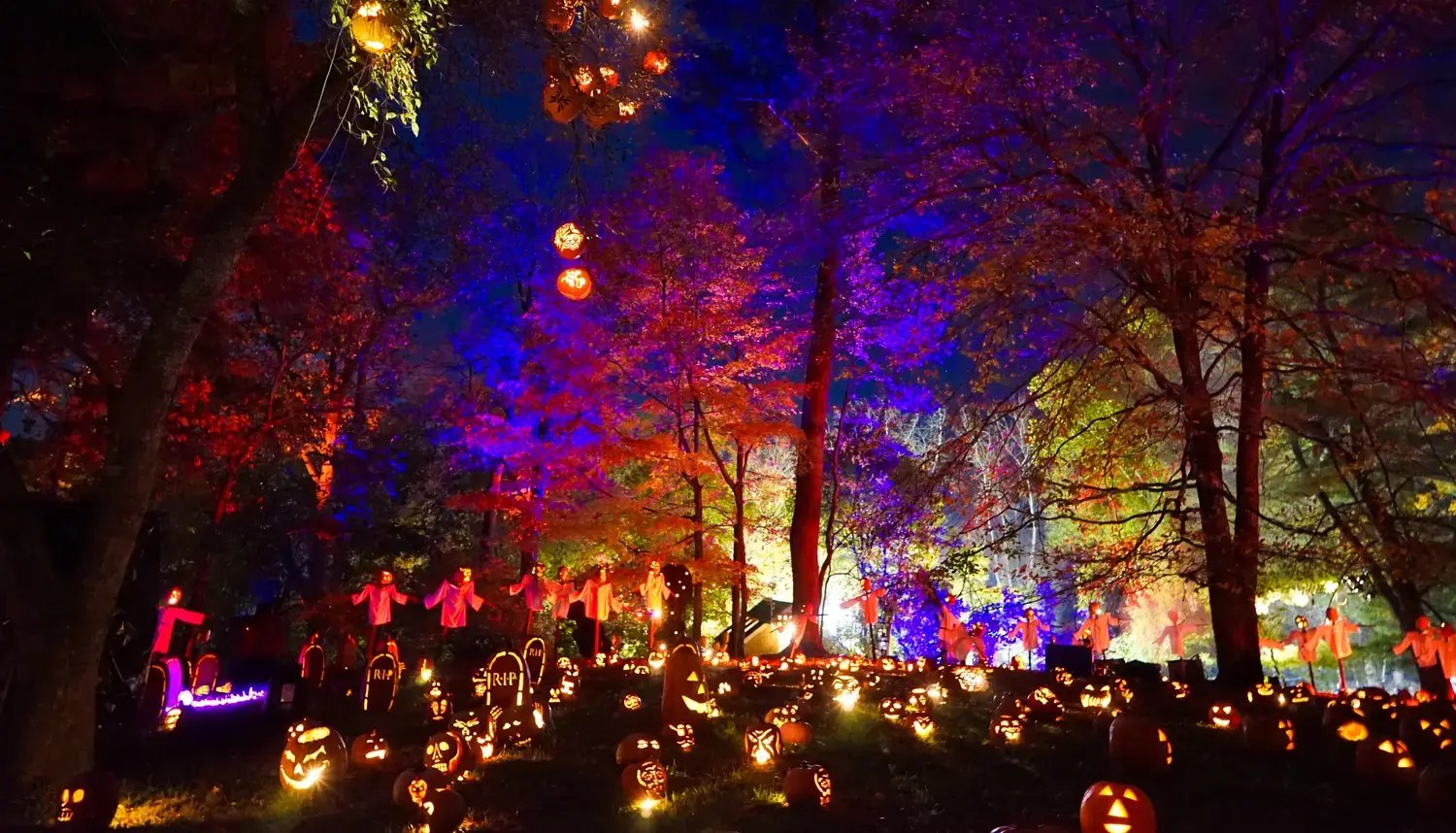 The Great Jack O’Lantern Blaze - Image by Inspired By Maps / Shutterstock.com