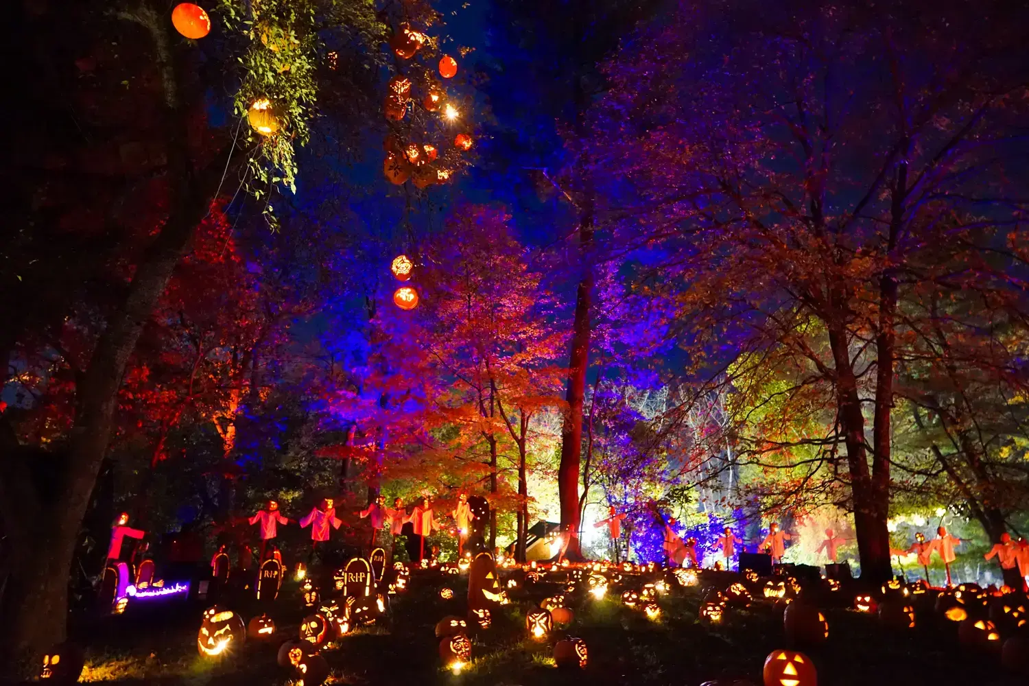 The Great Jack O'Lantern Blaze: A Halloween Must-See