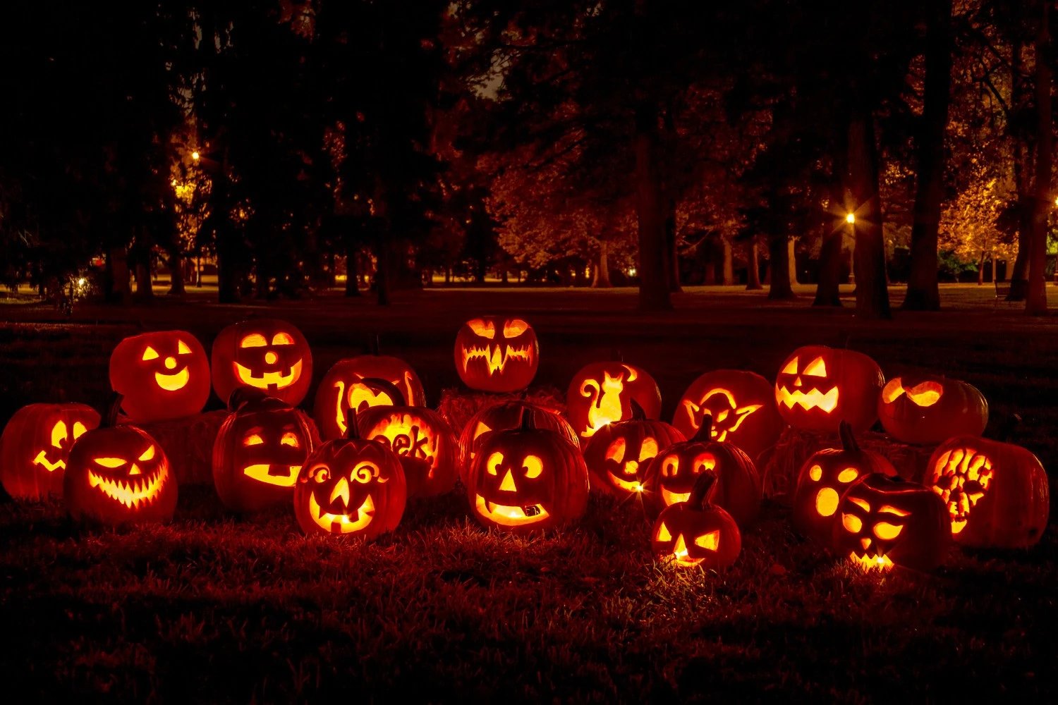 Jack O'Lantern Blaze - Image by Teri Virbickis